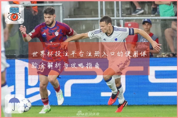 世界杯投注平台注册入口的使用体验全解析与攻略指南