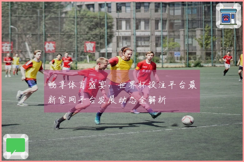 畅享体育盛宴，世界杯投注平台最新官网平台发展动态全解析