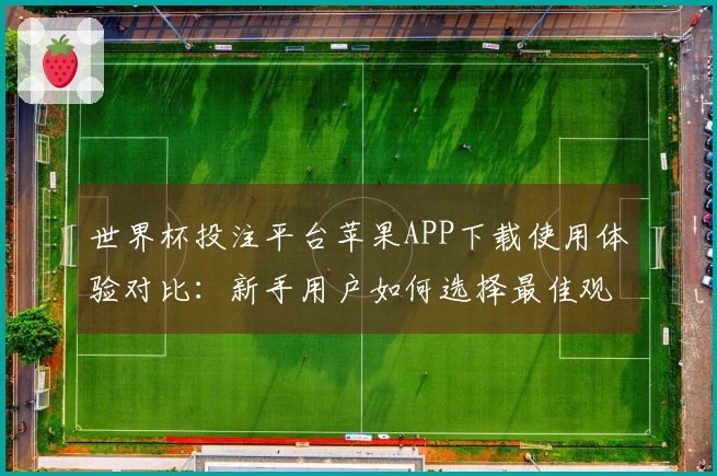 世界杯投注平台苹果APP下载使用体验对比：新手用户如何选择最佳观看方式